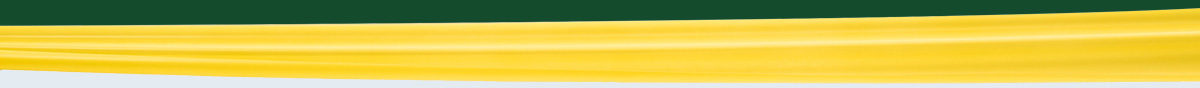 yellowStrip